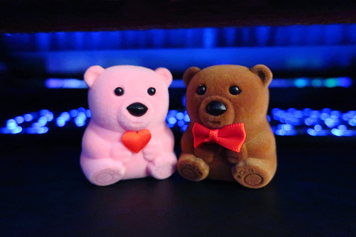 Bears in love...